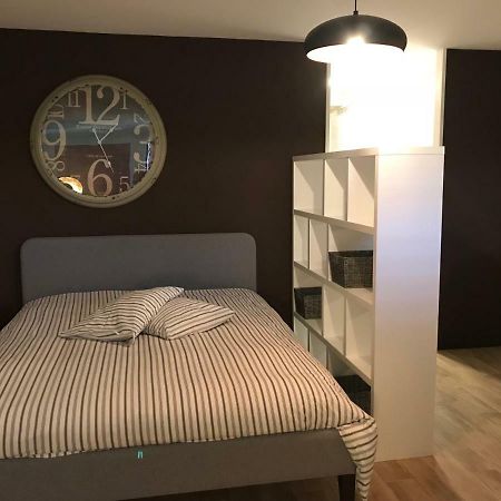 Large Studio Near Epfl And Lausanne City Center Ecublens  Ngoại thất bức ảnh