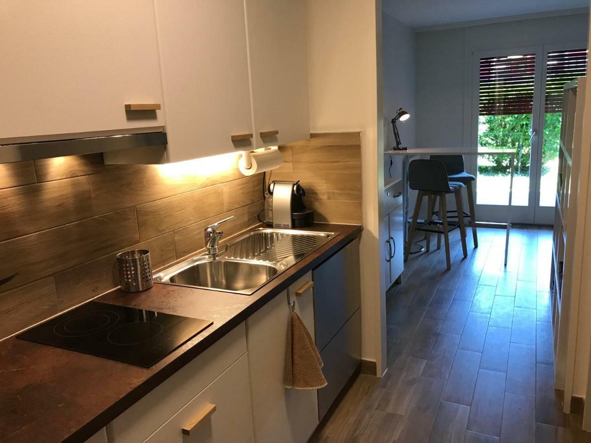 Large Studio Near Epfl And Lausanne City Center Ecublens  Ngoại thất bức ảnh