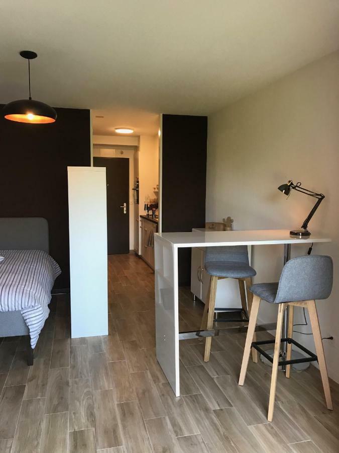 Large Studio Near Epfl And Lausanne City Center Ecublens  Ngoại thất bức ảnh