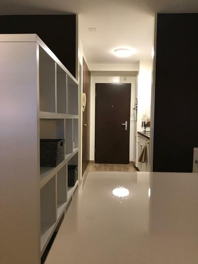 Large Studio Near Epfl And Lausanne City Center Ecublens  Ngoại thất bức ảnh