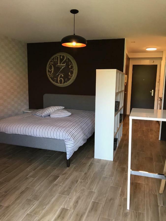 Large Studio Near Epfl And Lausanne City Center Ecublens  Ngoại thất bức ảnh